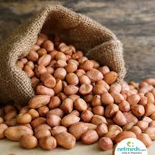 PEANUT/നിലക്കടല