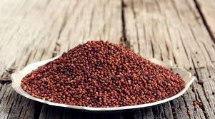 RAGI/റാഗി