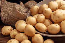 POTATO/ഉരുളക്കിഴങ്ങ്