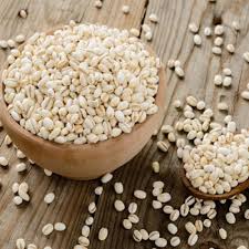 BARLEY/ബാർലി