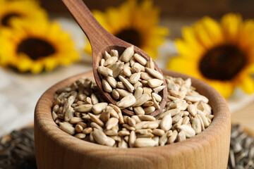 SUNFLOWER SEED 1 KG