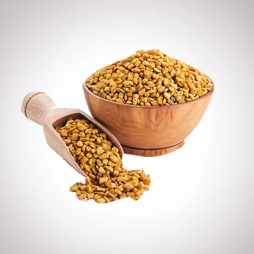 FENUGREEK/ഉലുവ